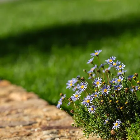 Reinado De Dom Dinis Gospodarstwo agroturystyczne *