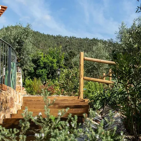 Reinado De Dom Dinis * Dornes