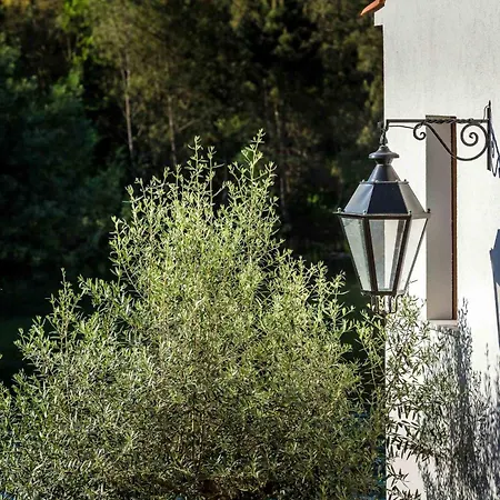 Reinado De Dom Dinis