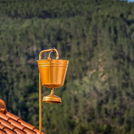 Reinado De Dom Dinis Farm stay *