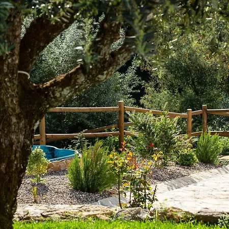 Reinado De Dom Dinis Dornes