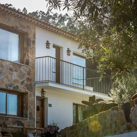 Reinado De Dom Dinis