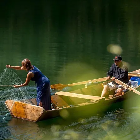 Reinado De Dom Dinis