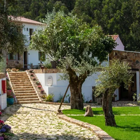 Reinado De Dom Dinis