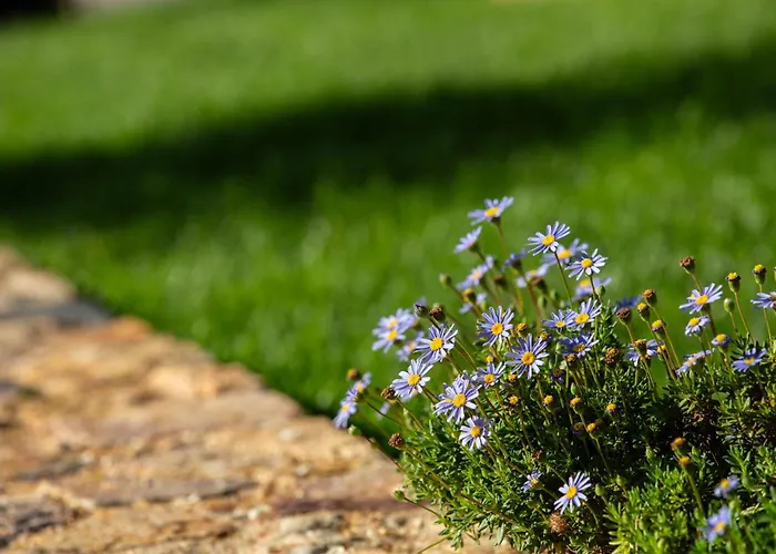 Reinado De Dom Dinis Gospodarstwo agroturystyczne *
