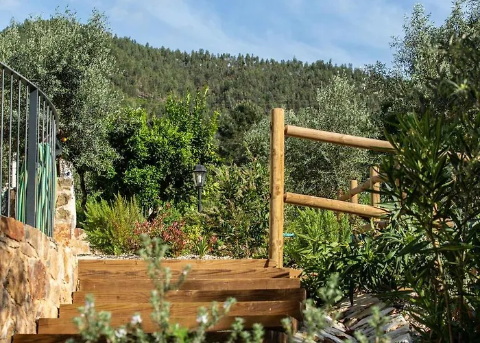 Reinado De Dom Dinis * ドルネス