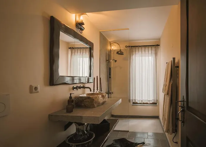 Reinado De Dom Dinis ファームステイ ドルネス