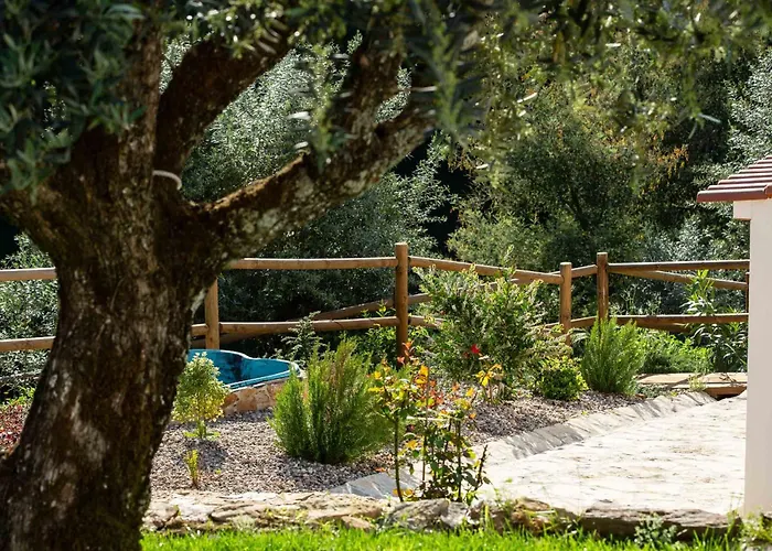 Reinado De Dom Dinis Dornes