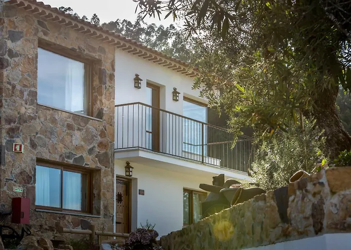 Reinado De Dom Dinis