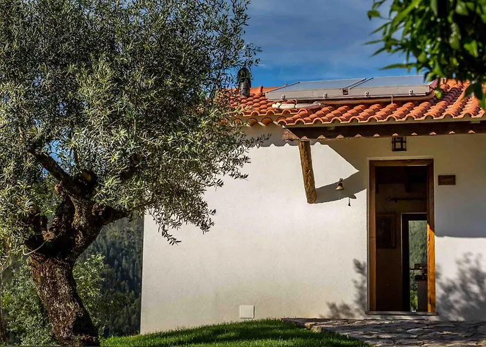 Reinado De Dom Dinis