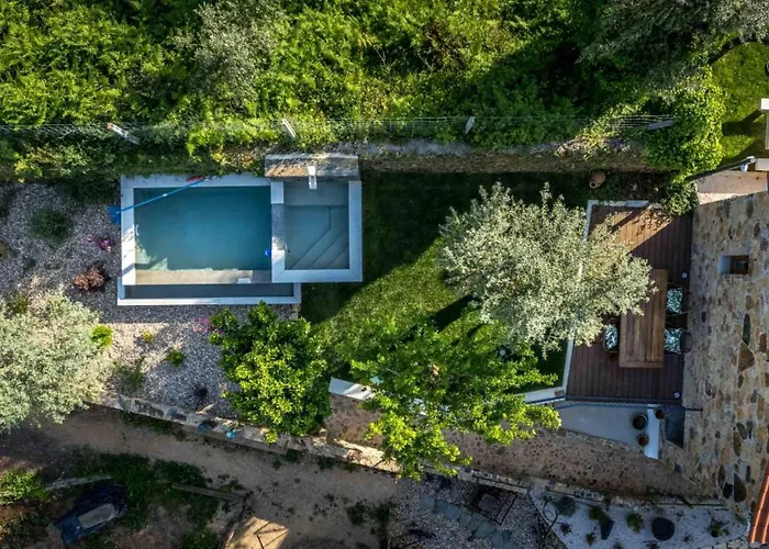 Gospodarstwo agroturystyczne Reinado De Dom Dinis