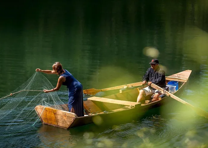 Reinado De Dom Dinis