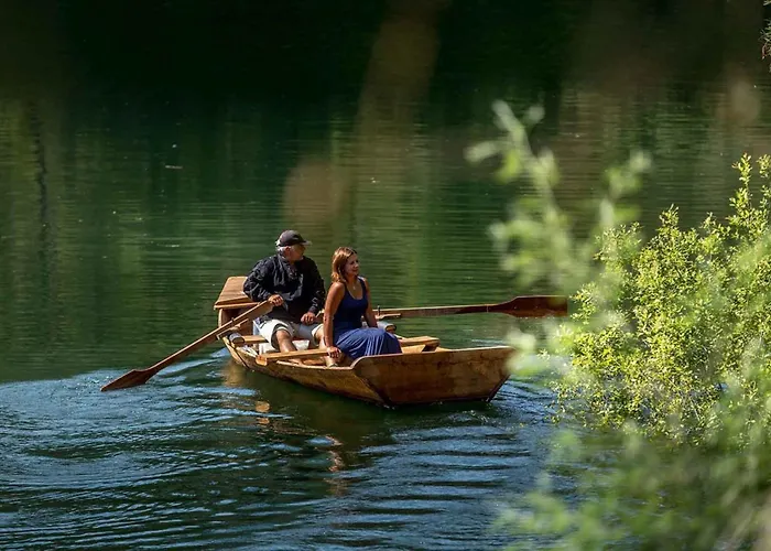 Reinado De Dom Dinis ファームステイ ドルネス