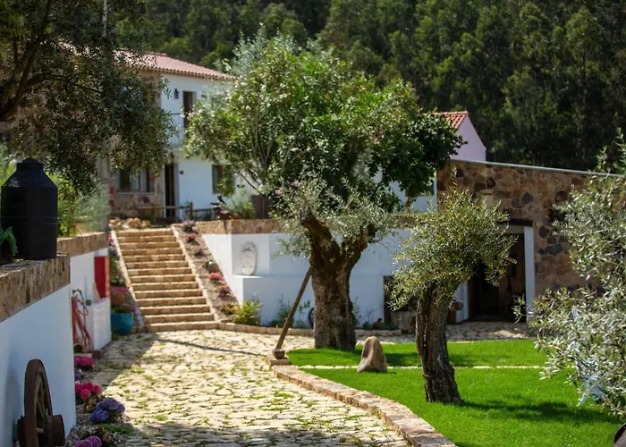 Reinado De Dom Dinis